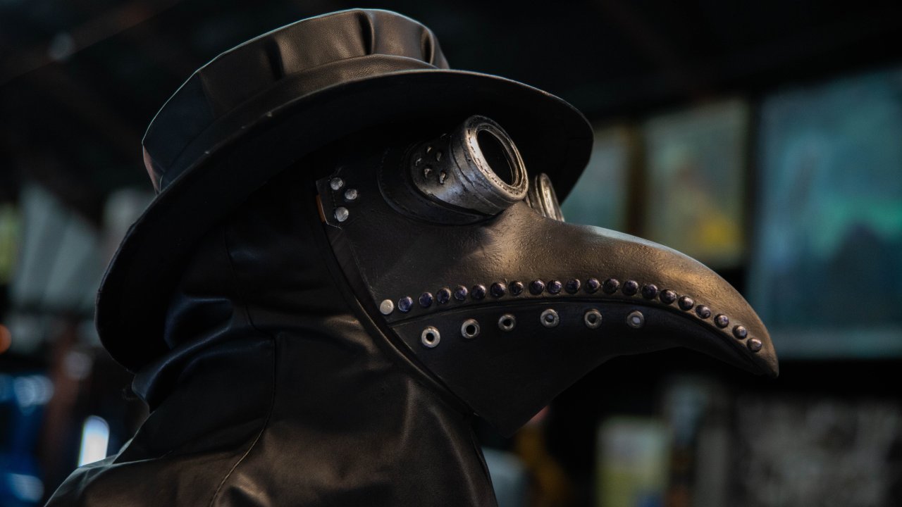 pexels-lich-38924809