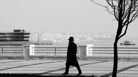 pexels-orkhanshots-38980894