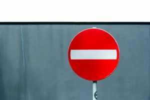 pexels-jan-van-der-wolf-11680885-9166266