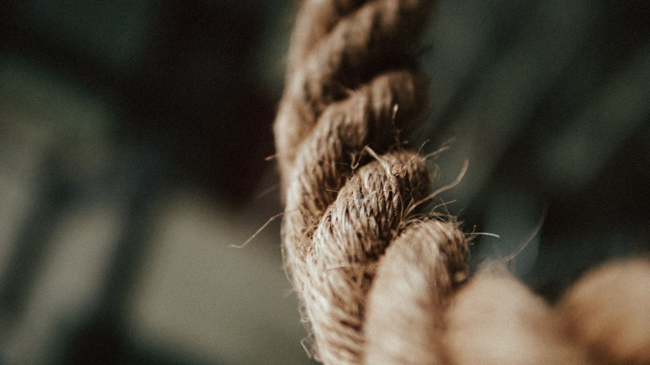 pexels-curayagjovan-6004099