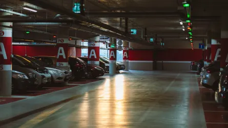 pexels-tibszabo-18344080