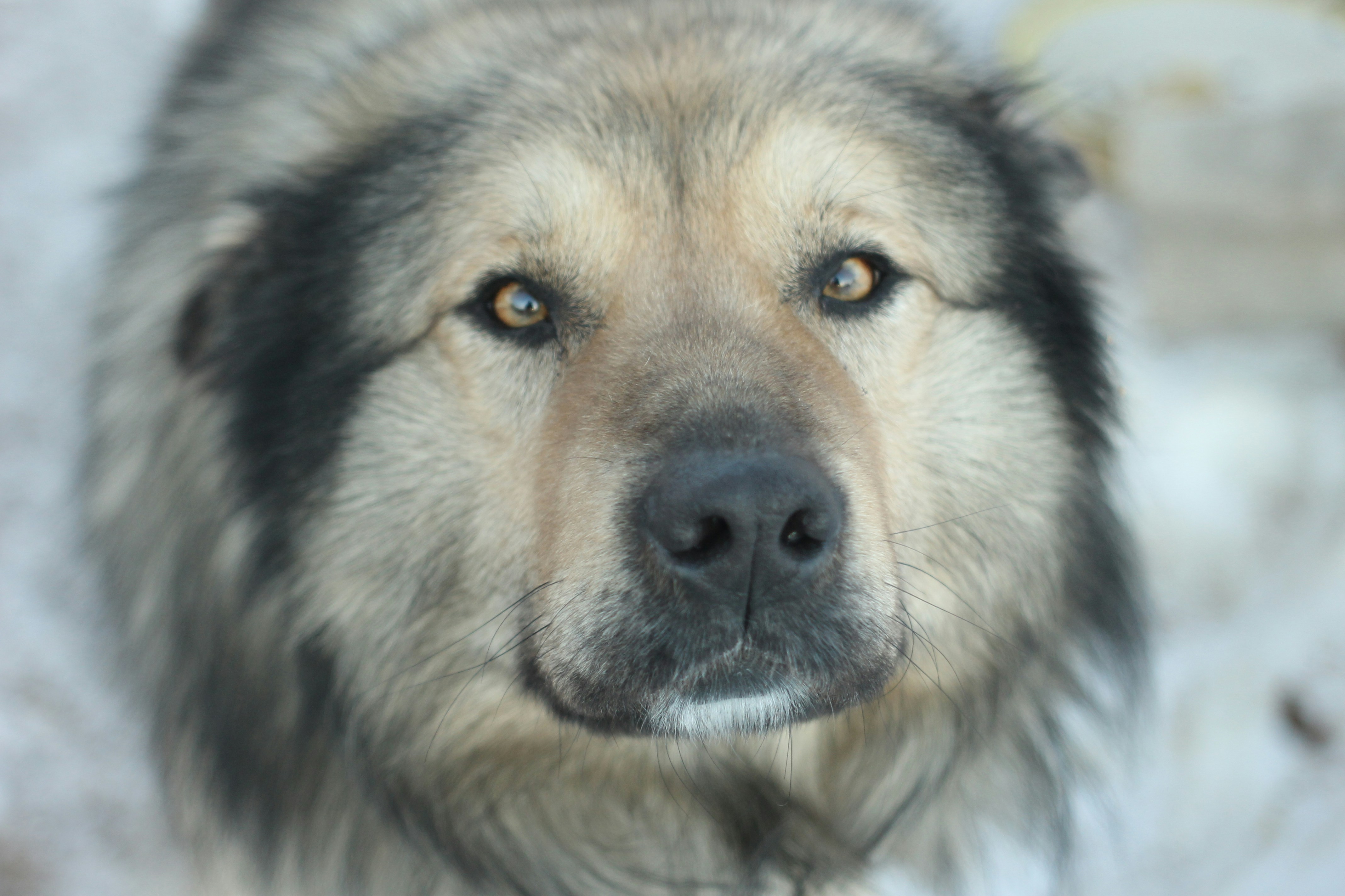 arnepi-stocker-gcn-uiPtqfU-unsplash