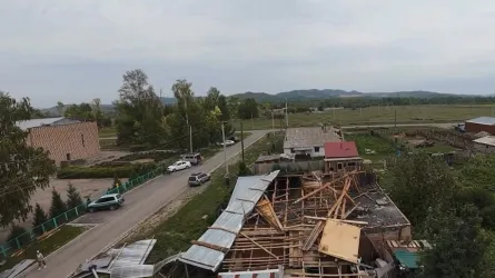 Снимок экрана 2026-08-05 152351
