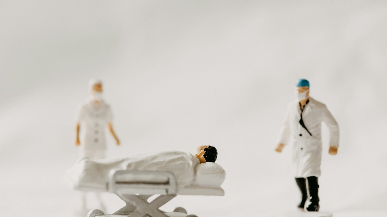 annie-spratt-HaCqGNFgiGE-unsplash
