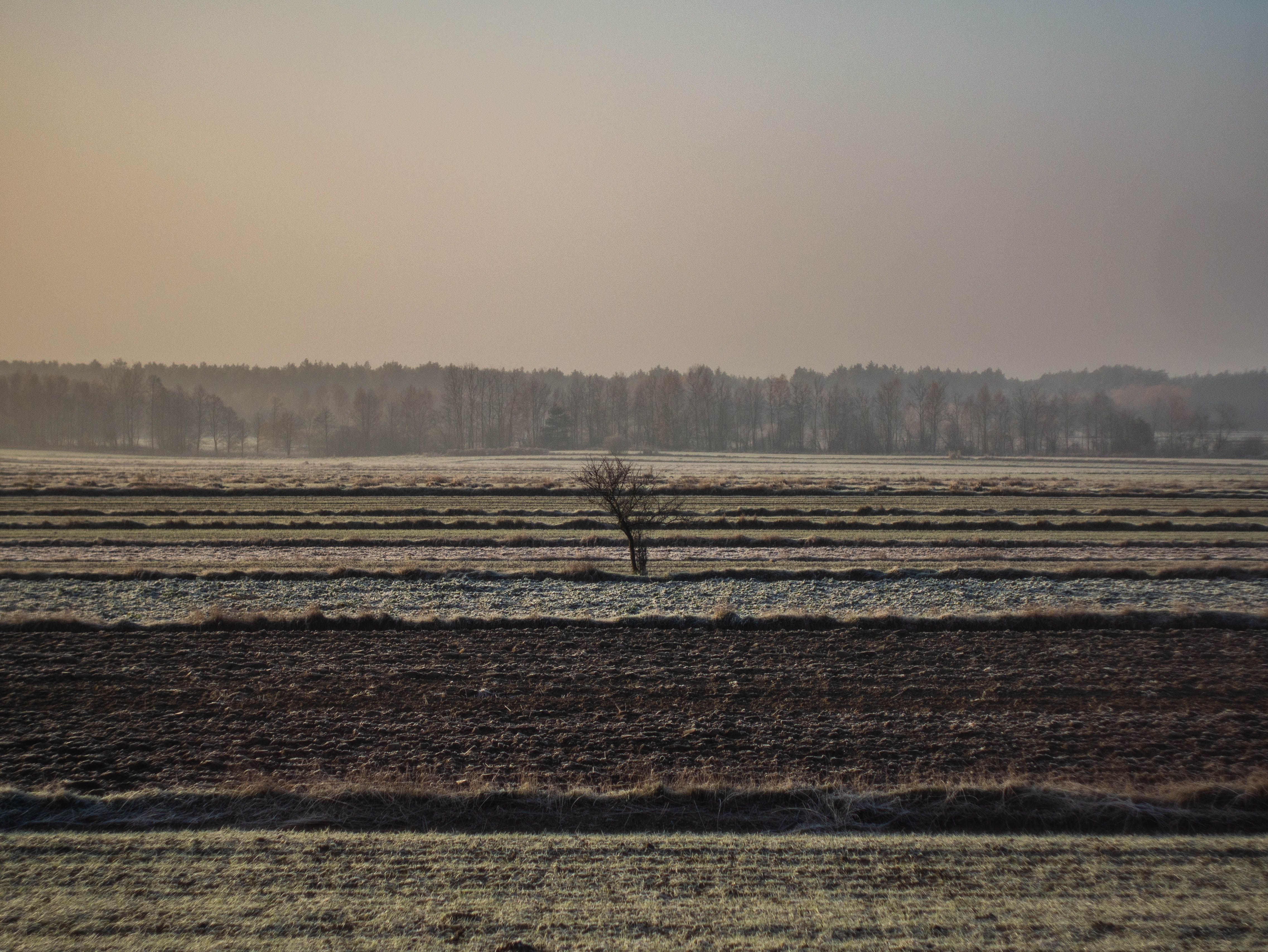 pexels-jakub-sambor-24567187-7731069