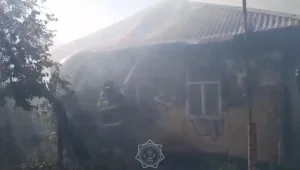 Screenshot_537