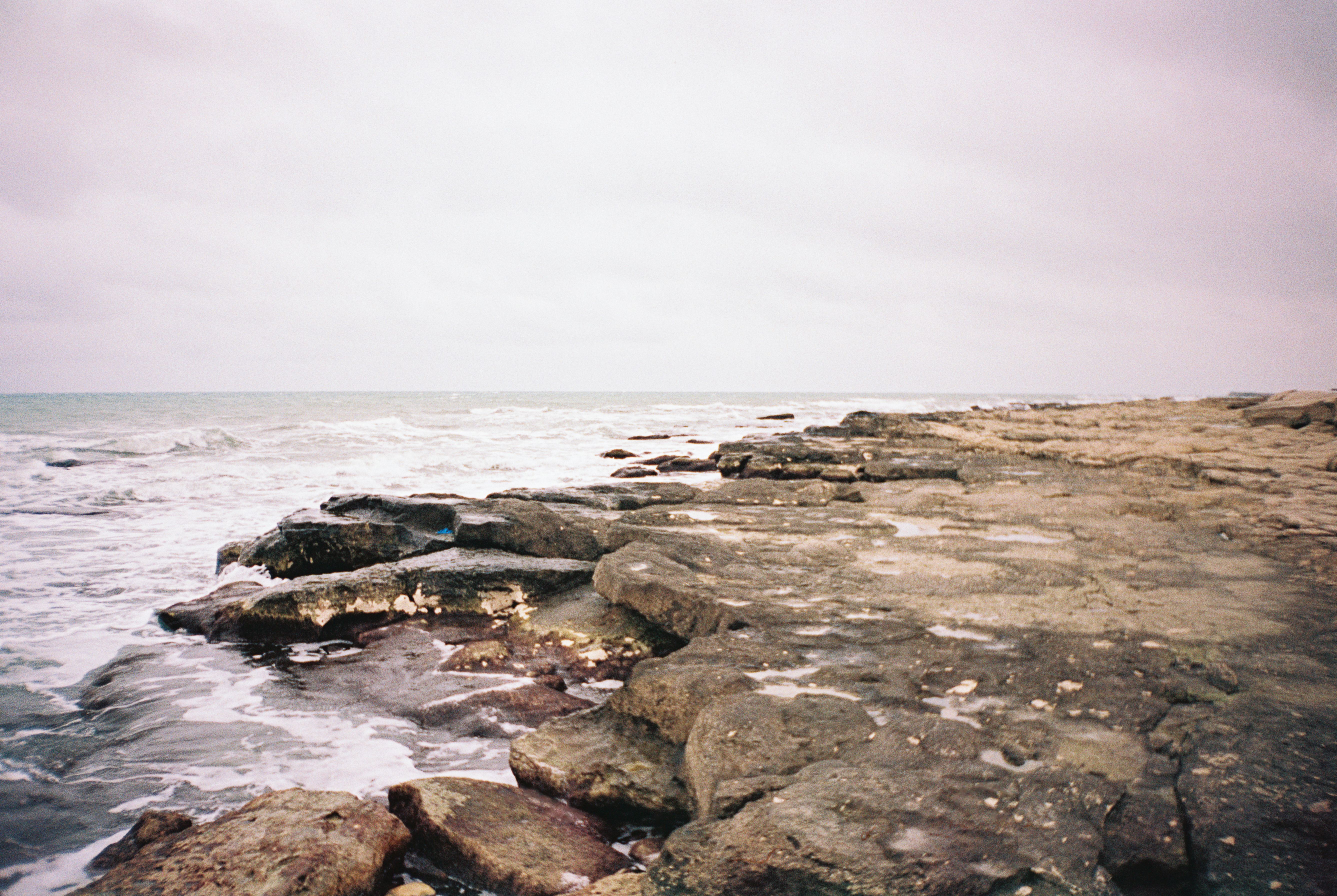 pexels-radis-20591588