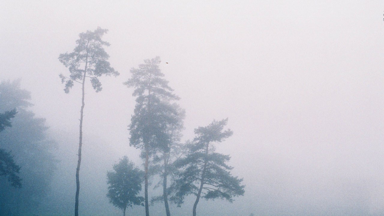 pexels-urlapovaanna-2975540