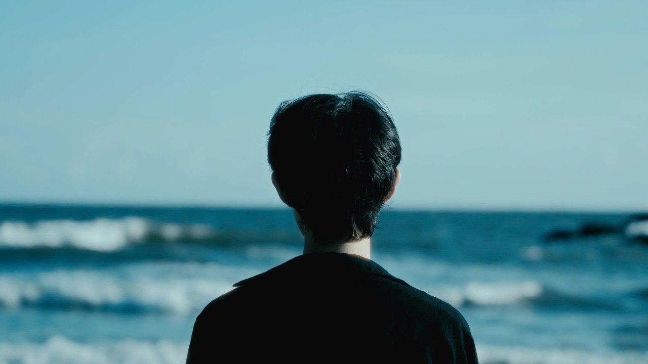 pexels-valdemarvan-33454428