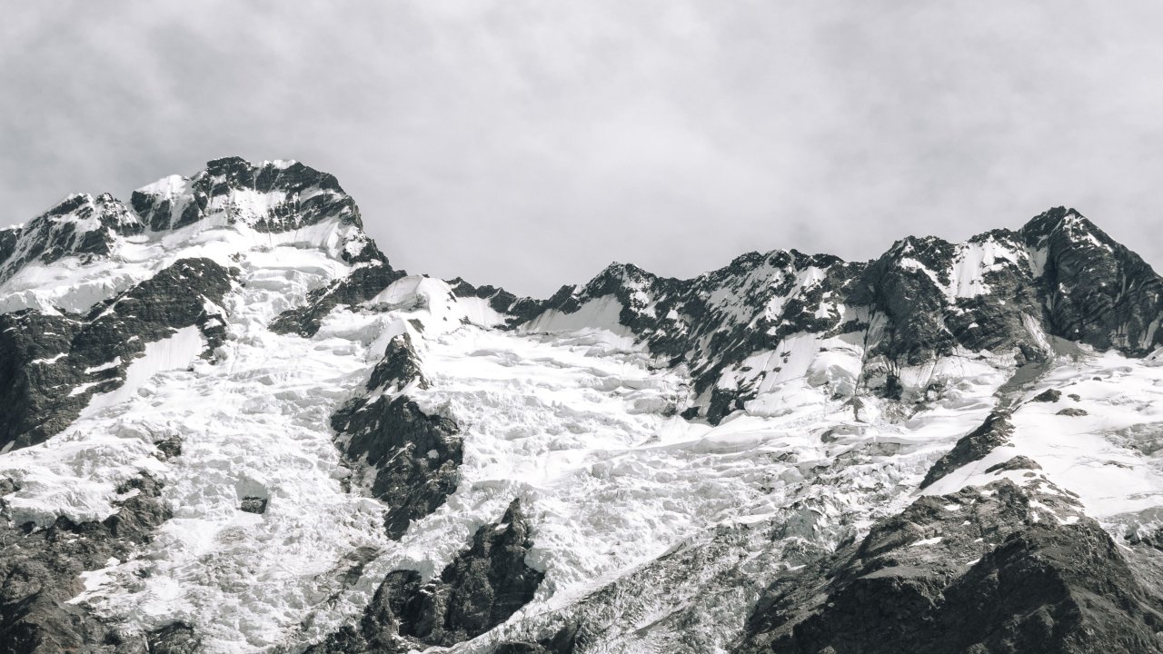 pexels-lastly-1022454
