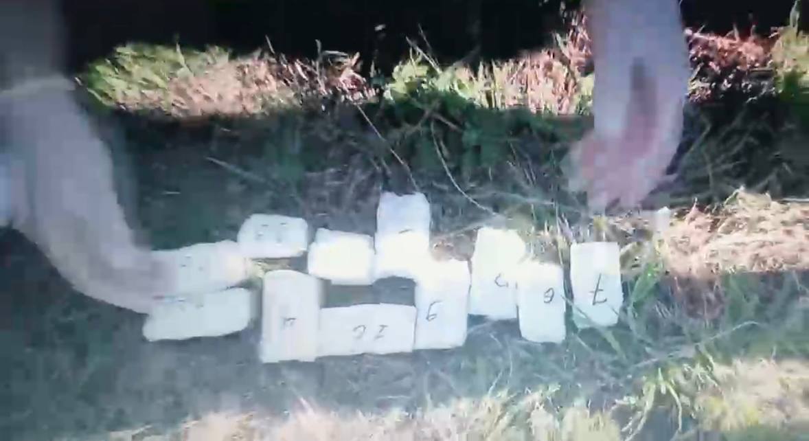 5235561268813437397-1