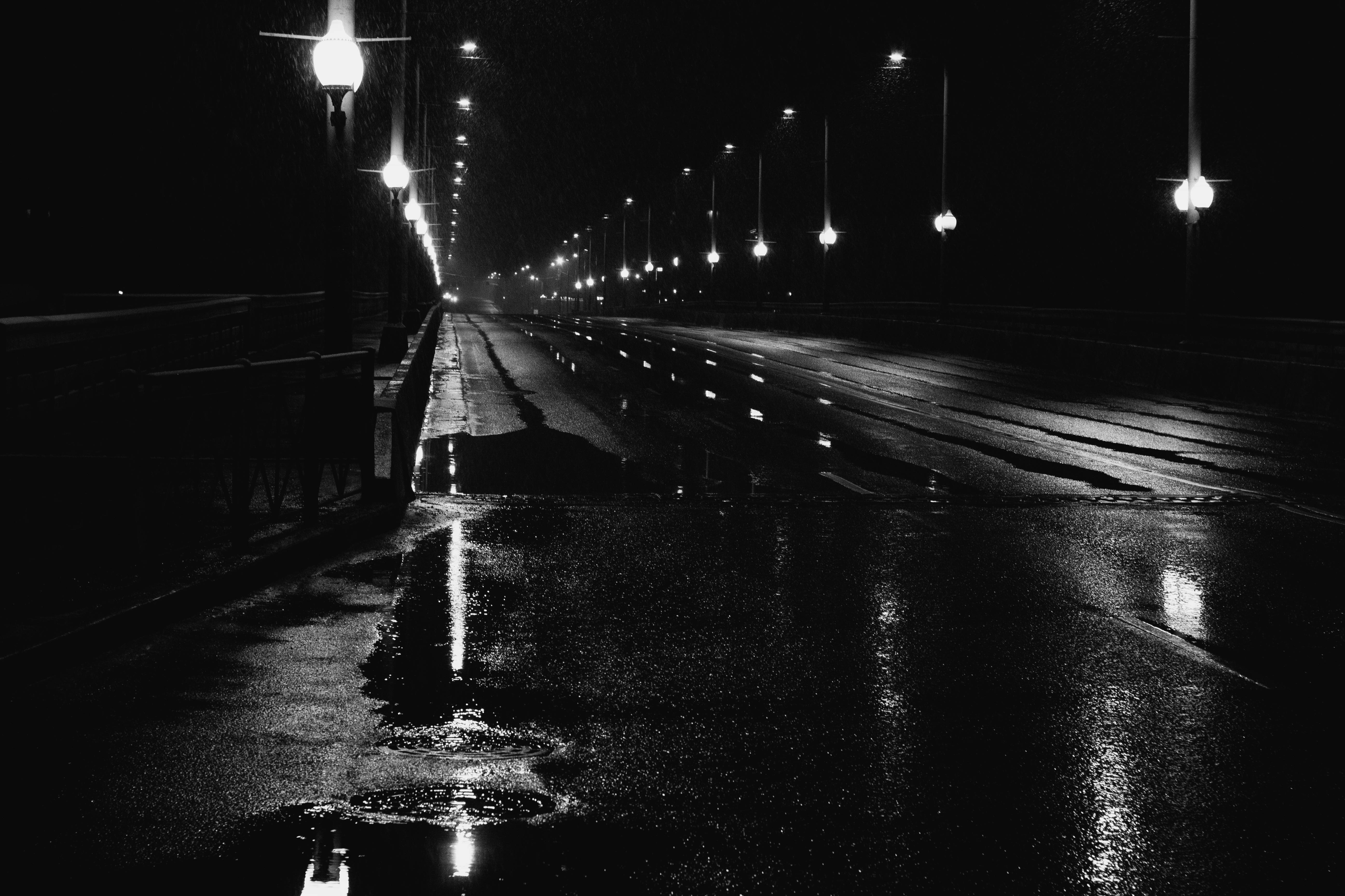 pexels-plato-terentev-3804555-9807330