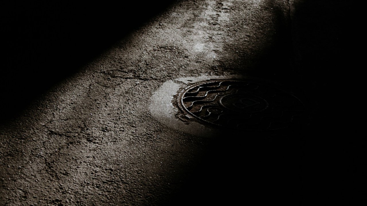 pexels-plato-terentev-3804555-5828261