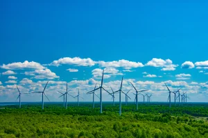 pexels-kirill-bai-34484890-20304306