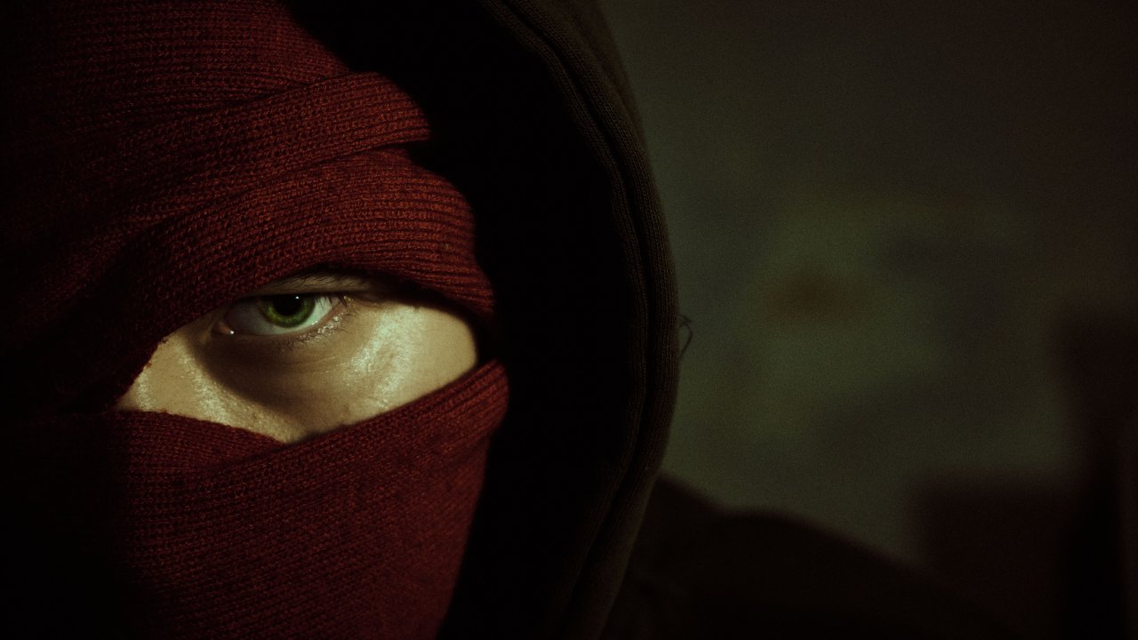 pexels-oskelaq-12359391(1)